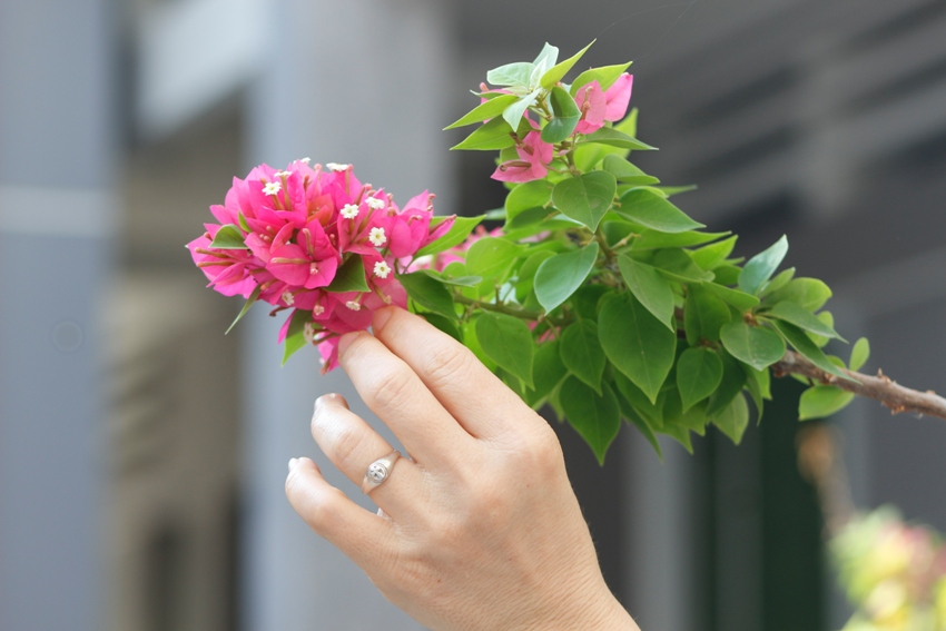 XIN ƠN SỐNG TIẾT ĐỘ