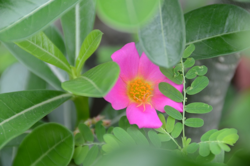BẮT NGUỒN TỪ BÊN TRONG