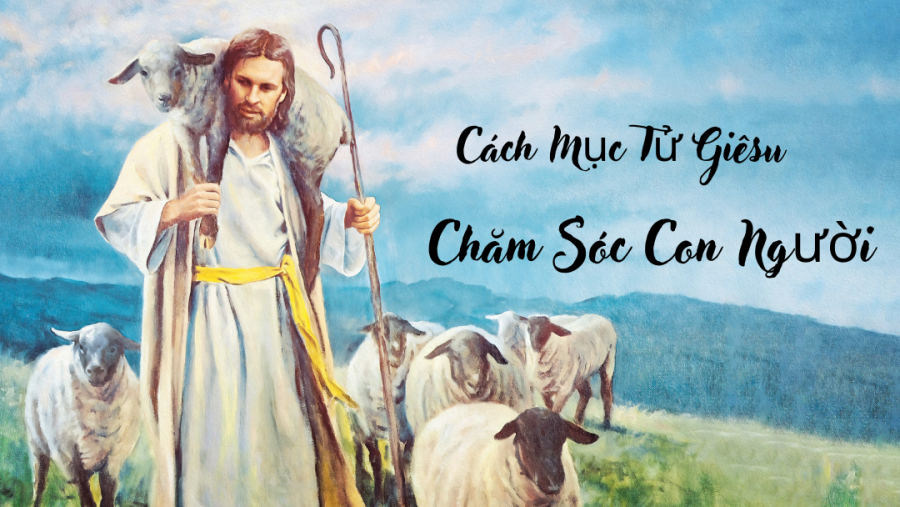 Cách Mục Tử Giêsu Chăm Sóc Con Người
