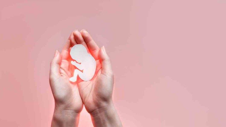 ĐHY Parolin: cuộc bỏ phiếu cho phá thai ở Châu Âu là một “cuộc tấn công triệt để” vào sự sống