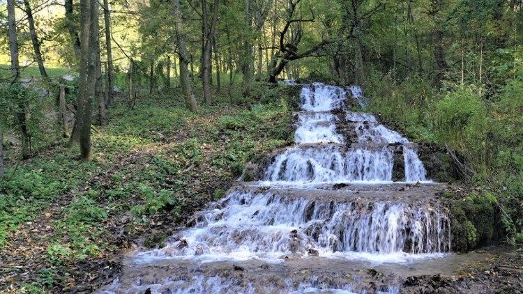 Ra mắt mạng lưới Phan sinh vì hoà bình và sinh thái ở châu Á