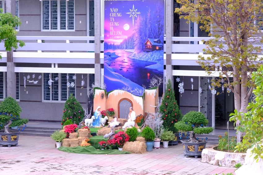 HANG ĐÁ GIÁNG SINH 2024