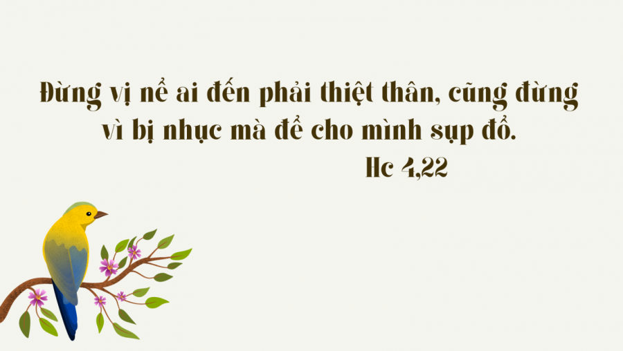 vị nể