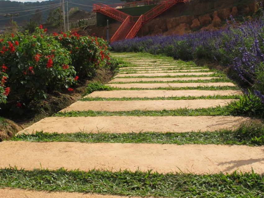 HÀNH TRÌNH NỘI TÂM