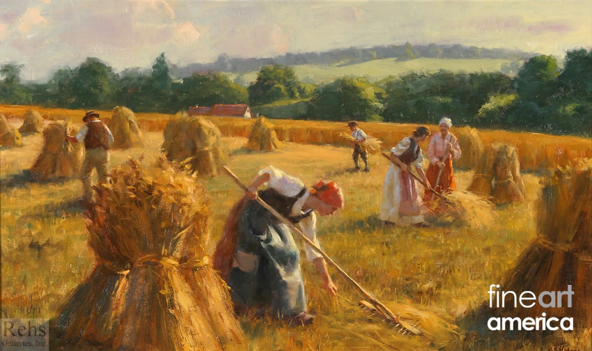 GETTING THE WHOLE FIELD 1