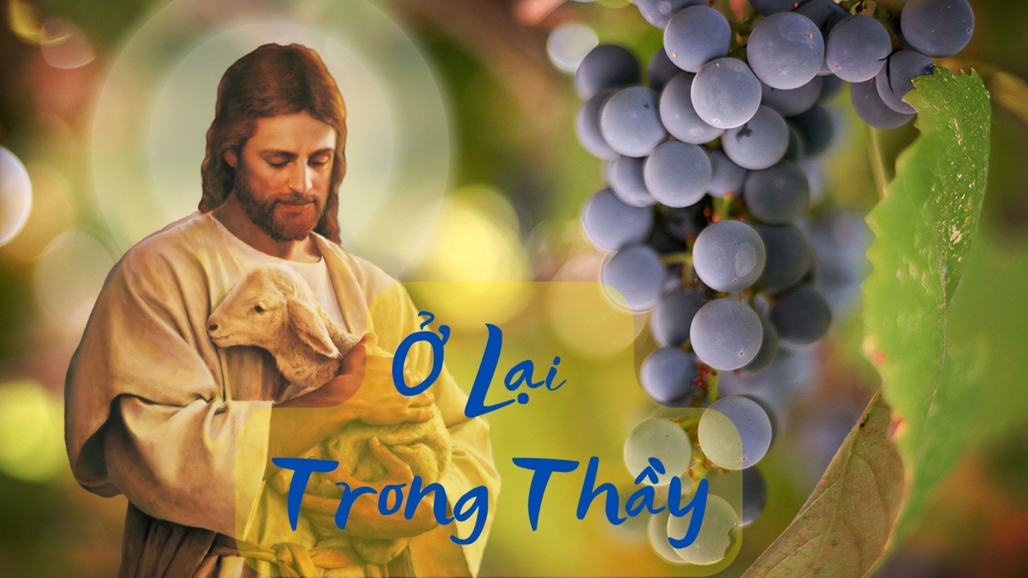 Ở LẠI TRONG THẦY