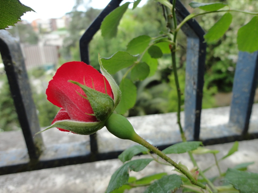 ÍT NHẤT, MỘT BƯỚC